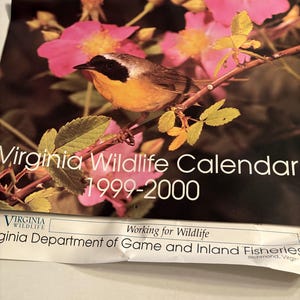 1999 Calender - Etsy