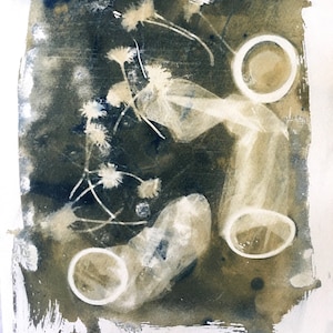 Condoms & Daisies- -Art Print