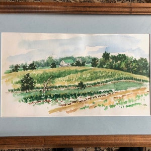 Ingelijste originele aquarel landschapsschilderkunst kunstwerk 15 x 23 inch