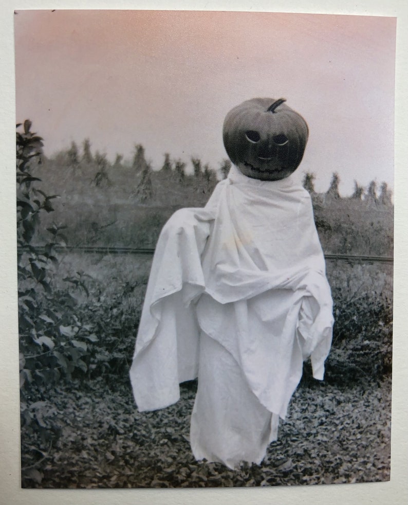 K&ouml;nnte beinhalten: Vintage Schwarz-Wei&szlig;-Fotografie einer Halloween-Vogelscheuche. Die Vogelscheuche hat einen geschnitzten K&uuml;rbiskopf und ist in ein wei&szlig;es Laken geh&uuml;llt. Der Hintergrund zeigt ein Feld und B&auml;ume, wodurch eine gruselige Atmosph&auml;re entsteht.