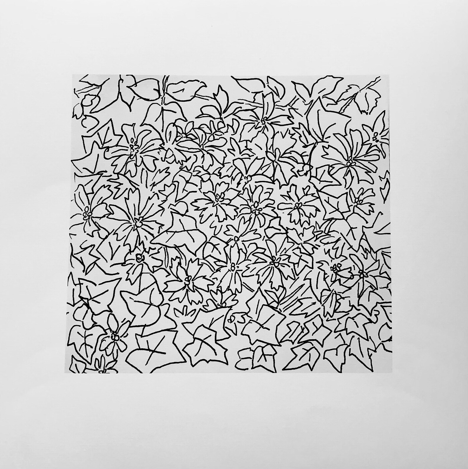 Line Artwork Nature Drawing Original Artwork Print 14 X Etsy