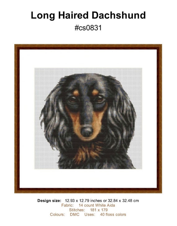 Long Haired Dachshund Head Portrait Counted Cross Stitch Etsy