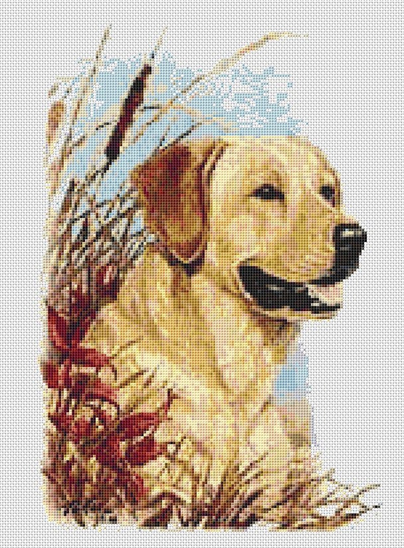 Golden Labrador Retriever Dog Counted Cross Stitch/Needlepoint Etsy