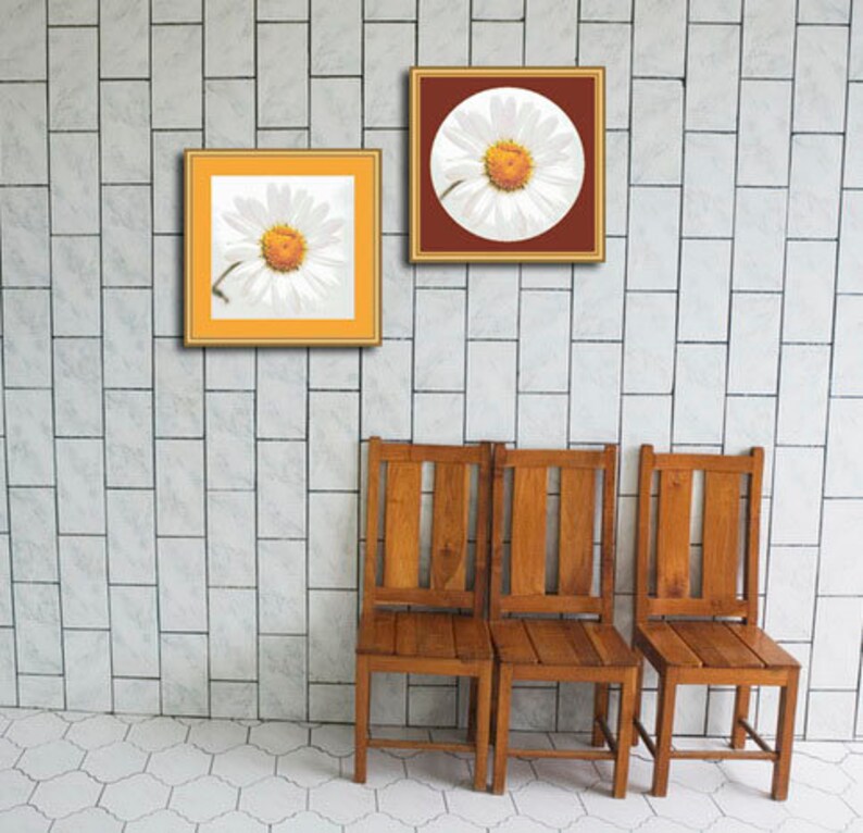 Lazy Daisy Counted Cross Stitch/needlepoint Pattern Floral PDF Etsy