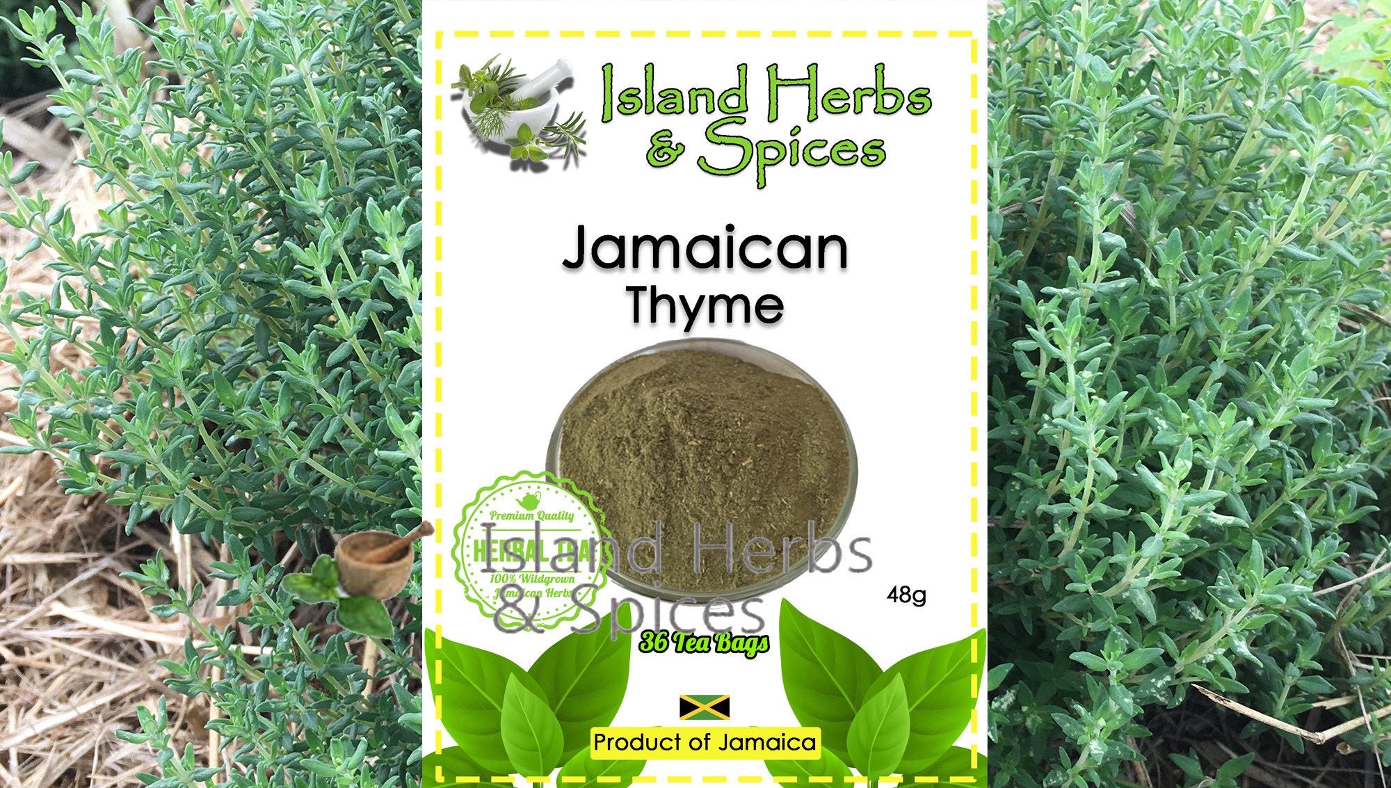 Jamaican Thyme Leaves 36 Tea Bags Etsy