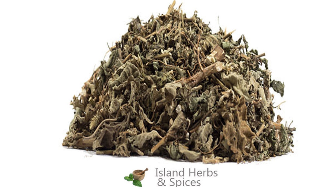 Devils HorsewhipAchyranthes Aspera Medicinal herb Etsy