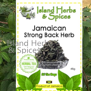 Strong Back Jamaican Herb (Desmodium Incanum) 36 Tea Bags