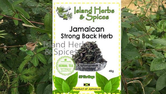 Strong Back Jamaican Herb desmodium Incanum 36 Tea Bags | Etsy