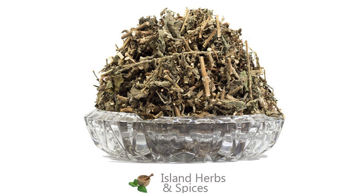 Devils HorsewhipAchyranthes Aspera Medicinal herb Etsy