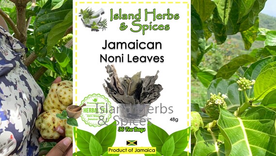 Noni Leaves Tea Bags 36 Tea Bags Etsy Ireland