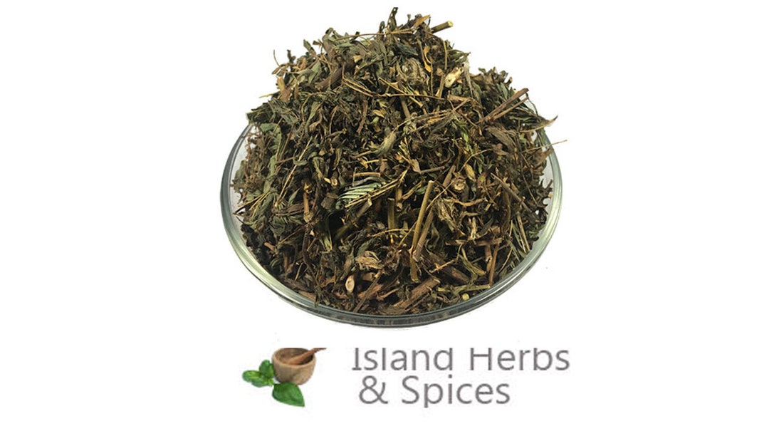 Shama Macka mimosa Pudica Loose Leaves organic Wild Grown Jamaican