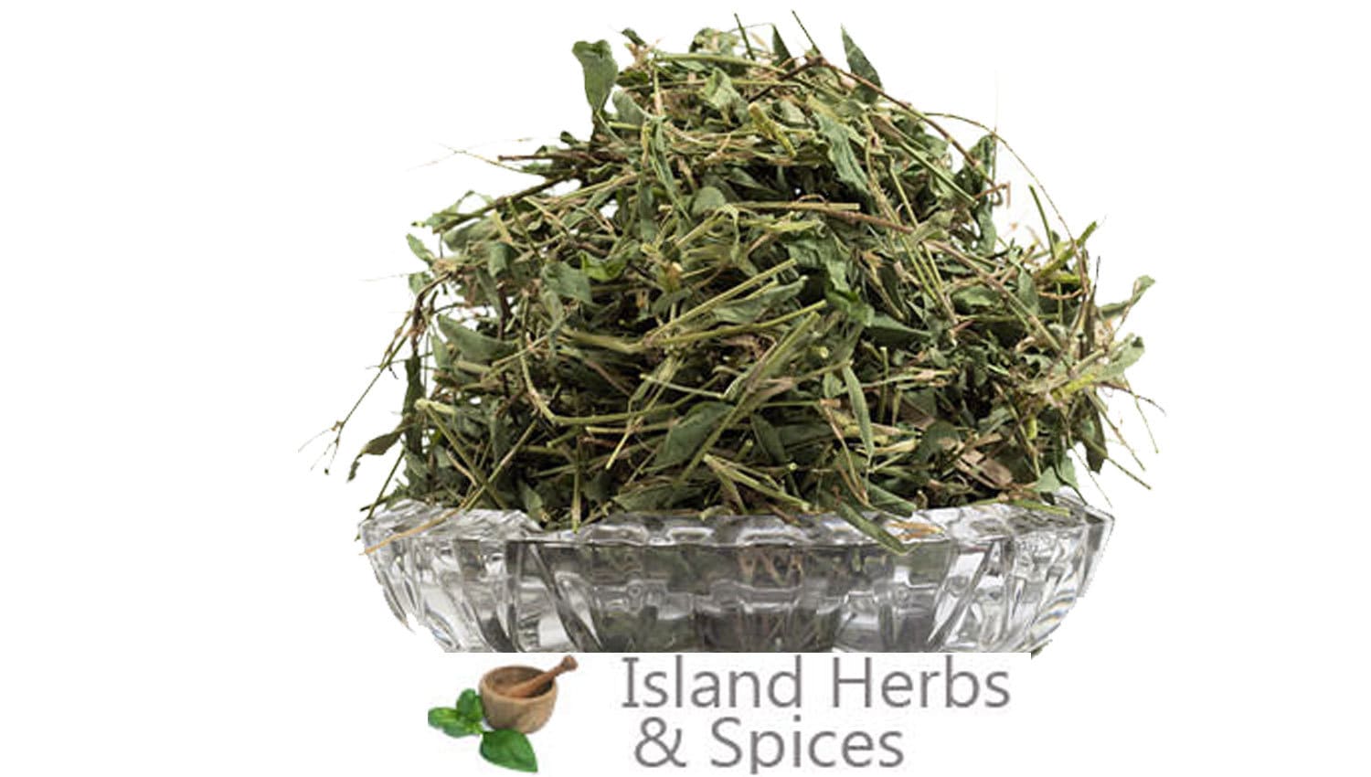 Medina Jamaican Herb aphrodisiac Medicinal Herb Etsy