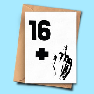 drôle 17th Birthday Card, Rude Birthday Card for Seventeen Year Old, Birthday Card Son, Bestie, Card From Boyfriend, Funny Card From Gf, Dad
