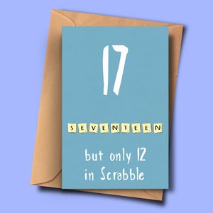 Carte drôle pour 17ème anniversaire, tournant 17,Dixième carte de Brithday, pour lui, de lui, oncle, beau-père, mari, papa, petit-fils, frère, maman