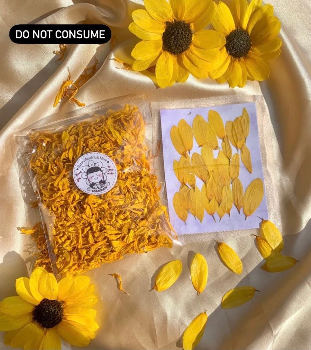 48 Pcs Pressed Flowers for Crafts Dried Pressed Sunflowers for Resin Mini  Real Nature Dried Sunflowers Bulk Yellow Dried Sunflower Petals for Jewelry  Candle Soap Making DIY Art Scrapbooking Supplies