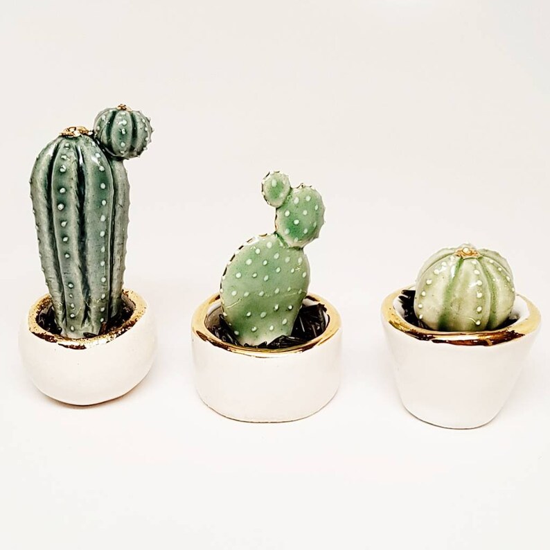 Miniature Ceramic San Pedro Cactus with Planter SAMPLE SALE