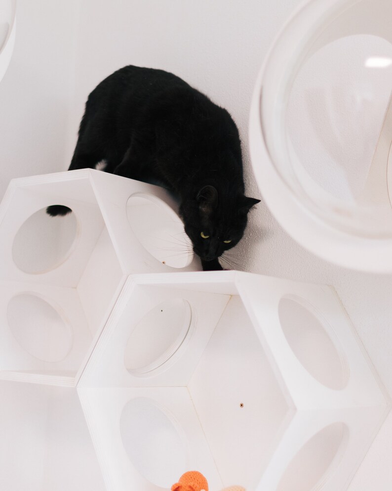 Cat Furniture Cat House Indoor Cat Bed Cat Tree Cat tree furniture Cat house Cat shelf Wooden cat bed Wooden cat house Cat bed cave Cat cave