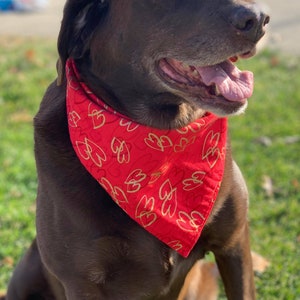 Valentine&#39;s Day Dog Bandana, Tie On