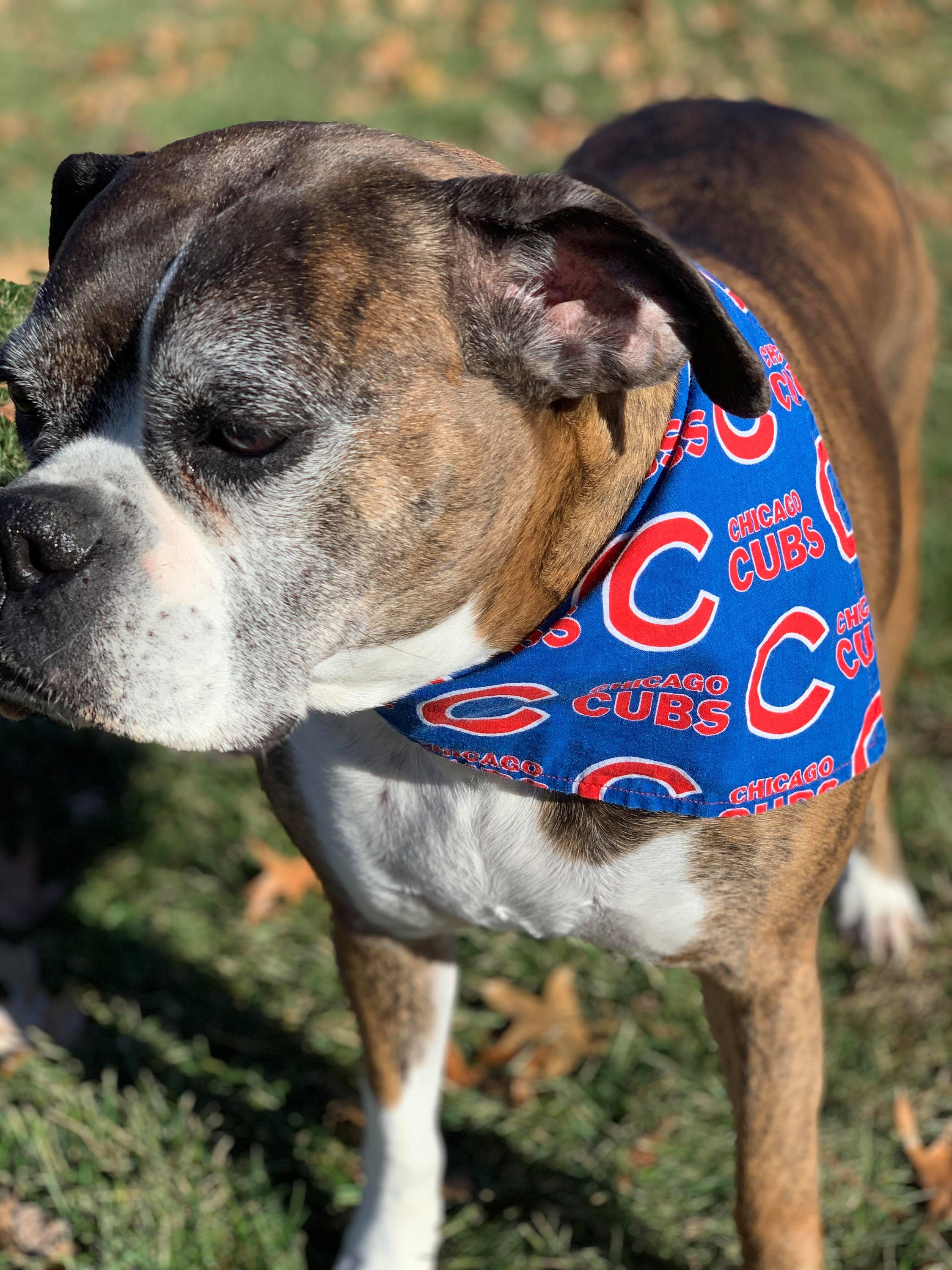 Chicago Cubs-rizz Dog Bandana Tie On 