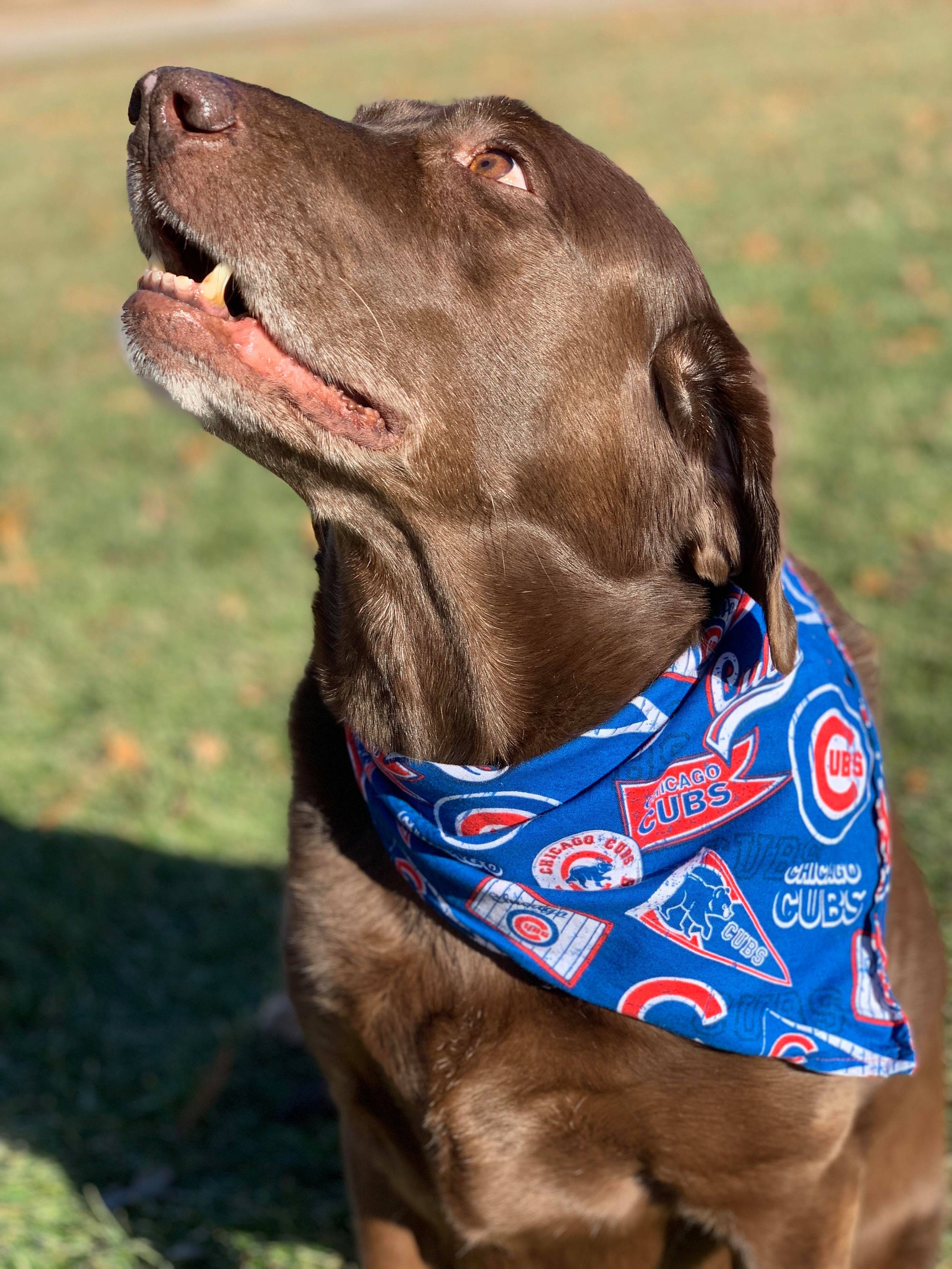 Chicago Cubs-kb Dog Bandana Tie On 