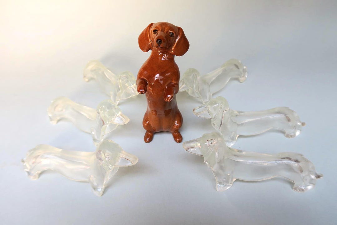 euble Cage Chien Intérieur Transparent