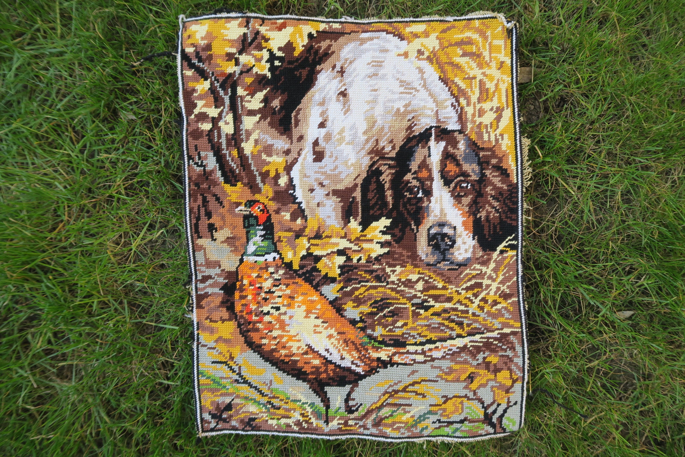 Canevas Tapisserie Chien et Faisan