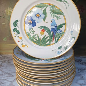 Peut inclure: Une pile d'assiettes rondes en céramique présentant une illustration centrale d'un perroquet bleu perché parmi des feuilles tropicales vertes, des fleurs jaunes et bleues, et une bordure circulaire jaune. Le bord est orné de vignes florales.