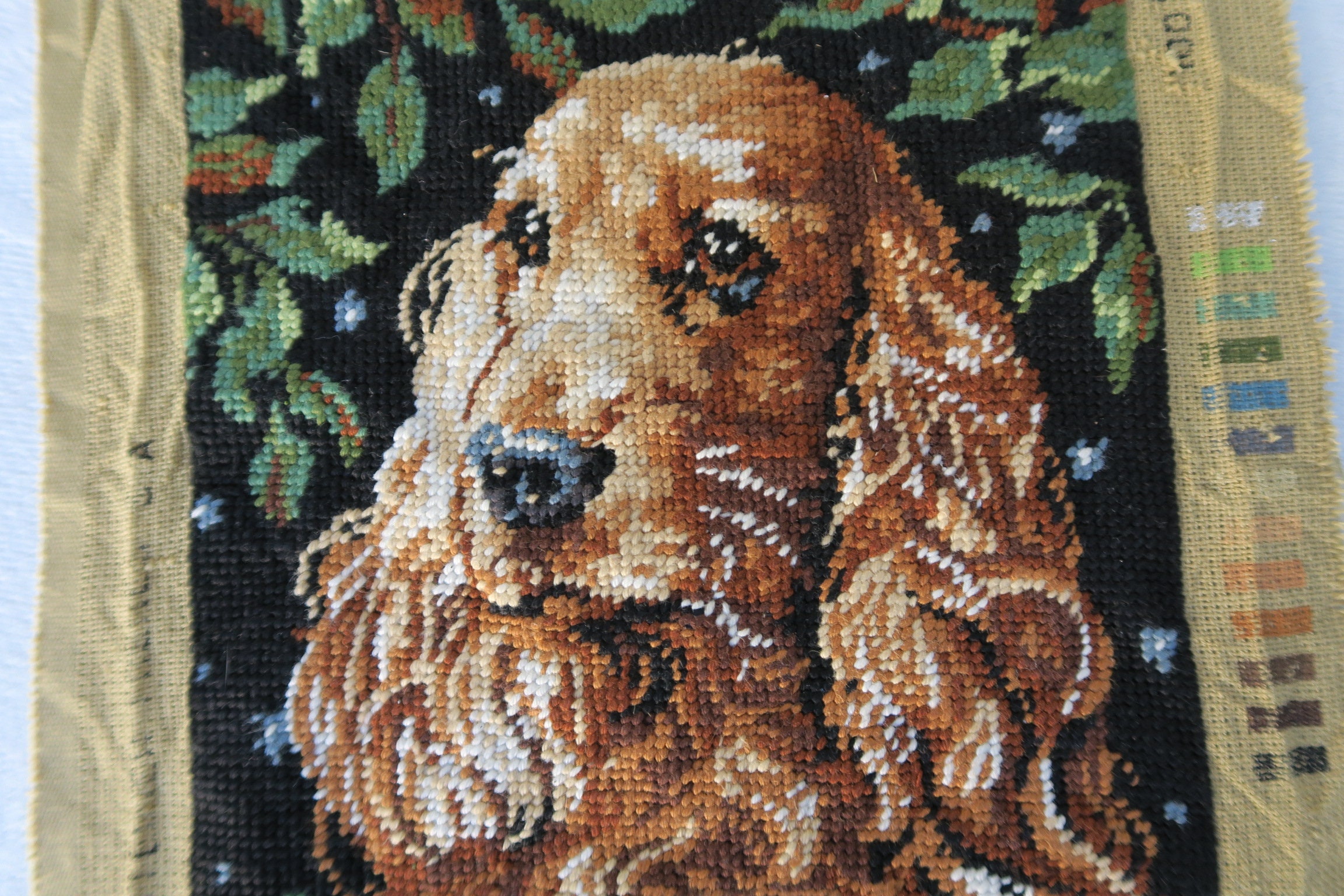 Canevas Tapisserie Cocker Fauve