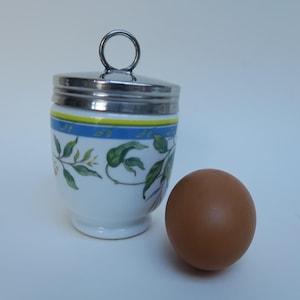 May include: A white porcelain egg cooker with a silver lid and a floral design. The egg cooker is next to a brown egg.