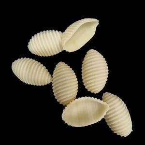 Philips pasta disc - Riccioli, riccioli U, Mini soup shell, Pinched pasta, Gnocchi sardi XL, Beads shell