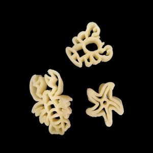 Philips pasta disc- Water animal pasta: Baby shark, Dolphin, Turtle, Shellfish