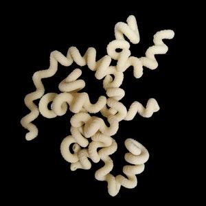 Philips pasta disc- Cavatappi and Fusilli quadrati