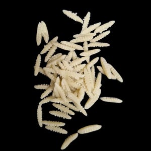 Philips pasta disc-risopasta