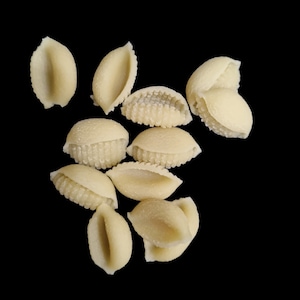 Philips pasta discricciutelle, riccioli, chiocciola en schelppasta met kralen