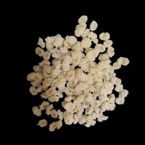 Philips-pastaschijf - pastina/soeppasta
