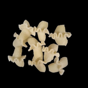 Philips pasta disc - Sedanini Ondulati and Conchiglia cresta