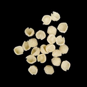 Philips-pastaschijf - gestripte conchiglie