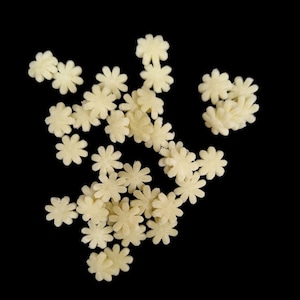 Philips pastaschijf - soeppasta
