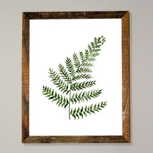 Dainty Fern Digital Download, Botanical Art, Watercolor Plants, Foliage Art, Watercolor Painting, Wall Art, Gift for Her, Farmhouse Decor