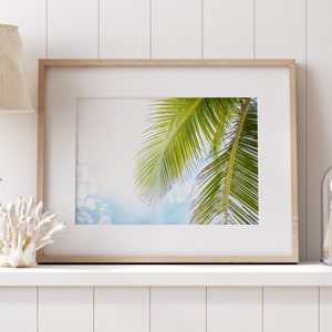 Key West Palm Tree Print: Coastal Photography Wall Art
