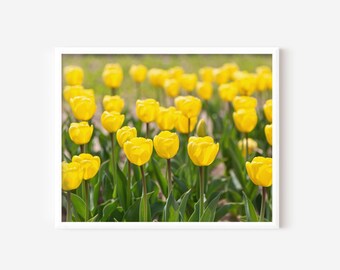 Yellow Tulips, Spring Floral Wall Art, Yellow Wall Art, Country Chic, Spring Art Print, Nursery Wall Art