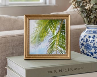 Vibrant Palm Tree Print | Coastal Photography 4x4 Mini Print (Beach Decor)