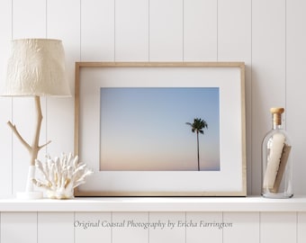 Golden Palm Mini Coastal Print – Sarasota Sunset Palm Photography – Small Florida Beach Decor