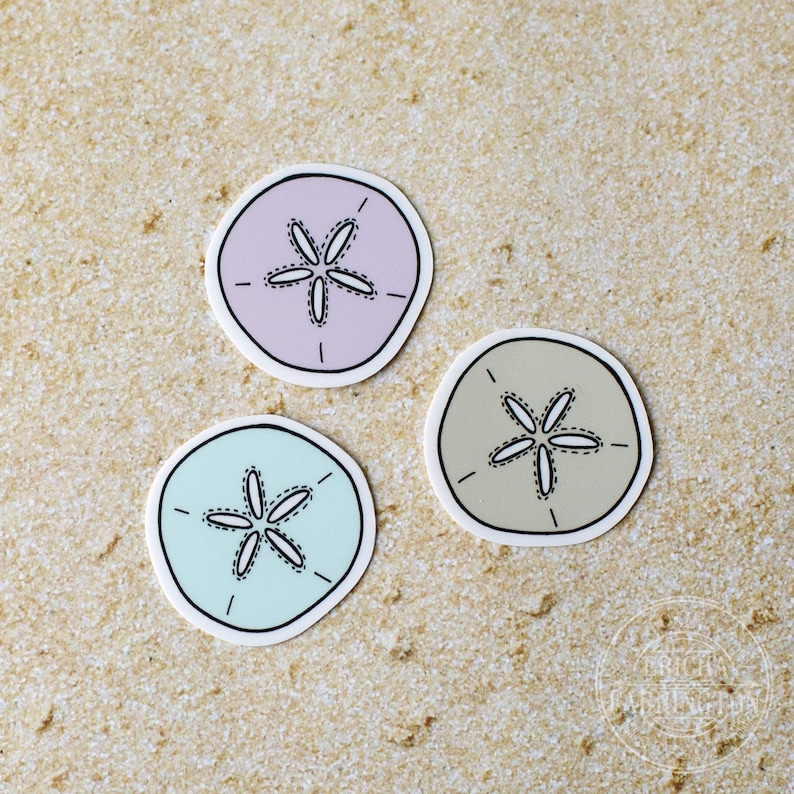 Sand Dollar Stickers: Hand-drawn Coastal Decals, Set of 3 - Etsy