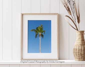 Sarasota Palm Tree Print – Florida Coastal Photography
