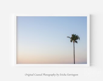 Florida Palm Tree Wall Art Print – Sarasota Sunset Coastal Photography – Beach House Decor – Palm Photo Print