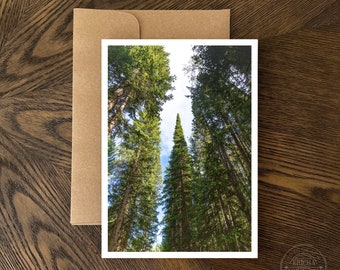 Nature Greeting Card, All Occasion, Blank Inside, Colorado Photography, Mountain Notecard, Frameable Art, Photo Notecard, 5x7 Greeting Card