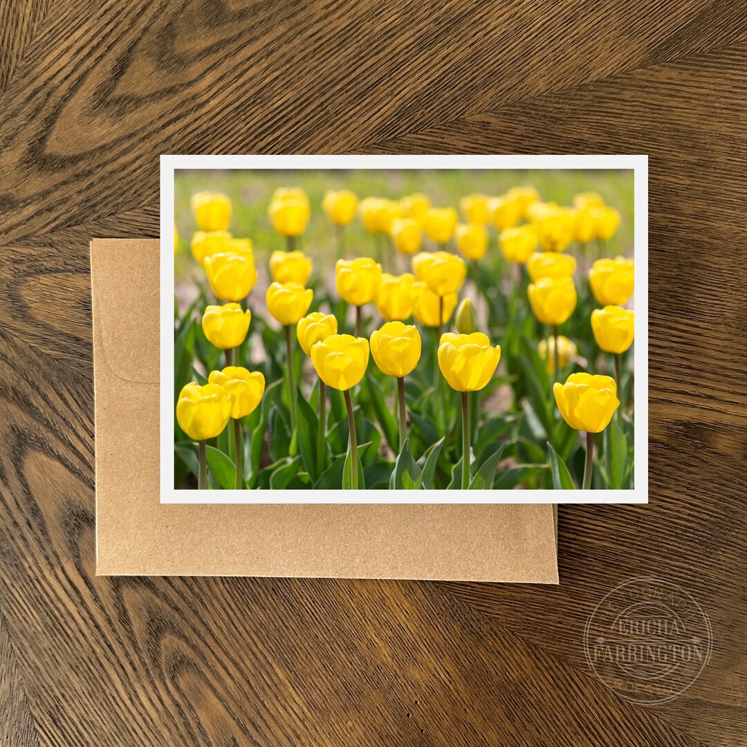 Tulips Note Yellow Tulip Field Note Card: Floral Photography Art (5x7) - Etsy