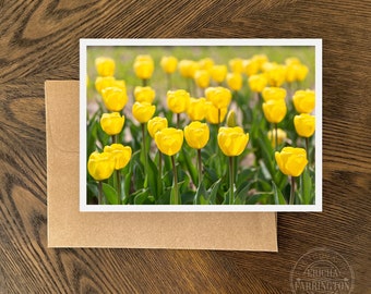 Yellow Tulips, Greeting Card, Floral Notecard Set, All Occasion, Blank Inside, Floral Photography, Nature Print, 5x7 Notecard, Card Set