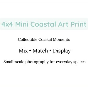 May include: A white background with text that reads "4x4 Mini Coastal Art Print." Additional text includes "Collectible Coastal Moments," "Mix &bull; Match &bull; Display," and "Small-scale photography for everyday spaces."
